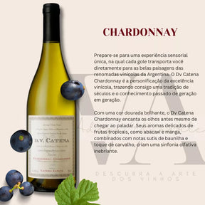 2 Unidades Vinho Argentino Dv Catena - Chardonnay